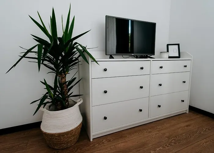 Apartment Evo Taietura Turcului *